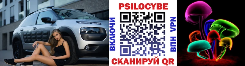 цены   KRAKEN как зайти  Галлюциногенные грибы Psilocybe  Куртамыш 